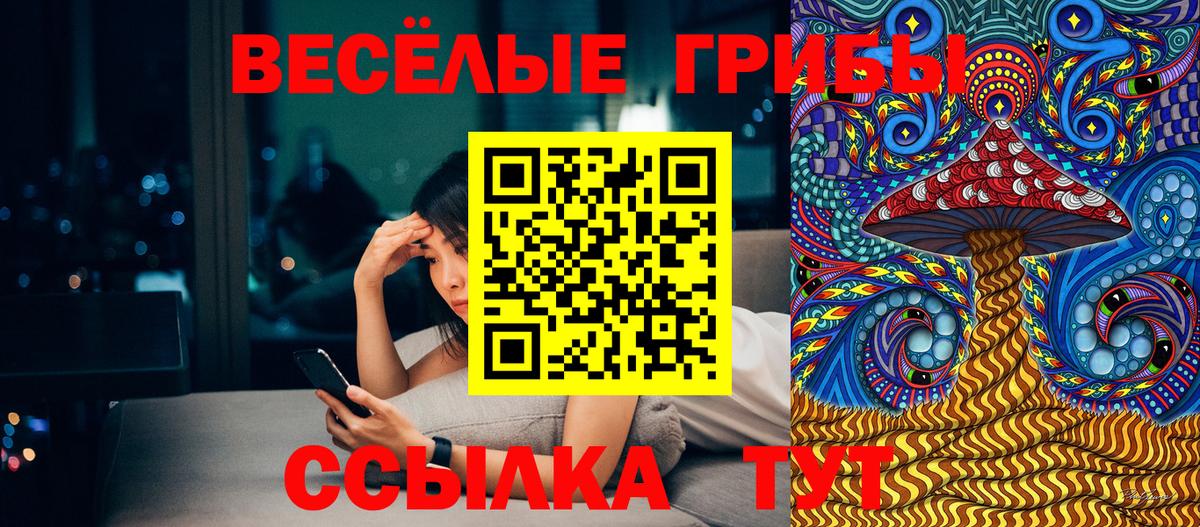 Псилоцибиновые грибы GOLDEN TEACHER Магнитогорск