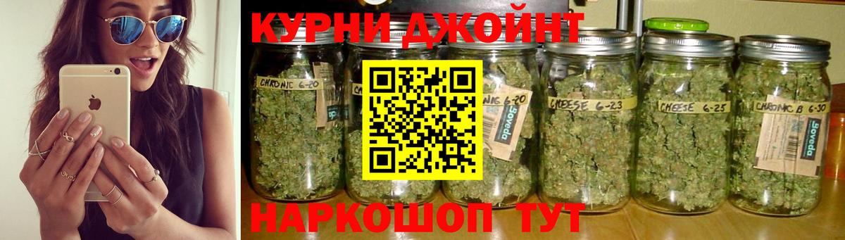 Конопля план Магнитогорск